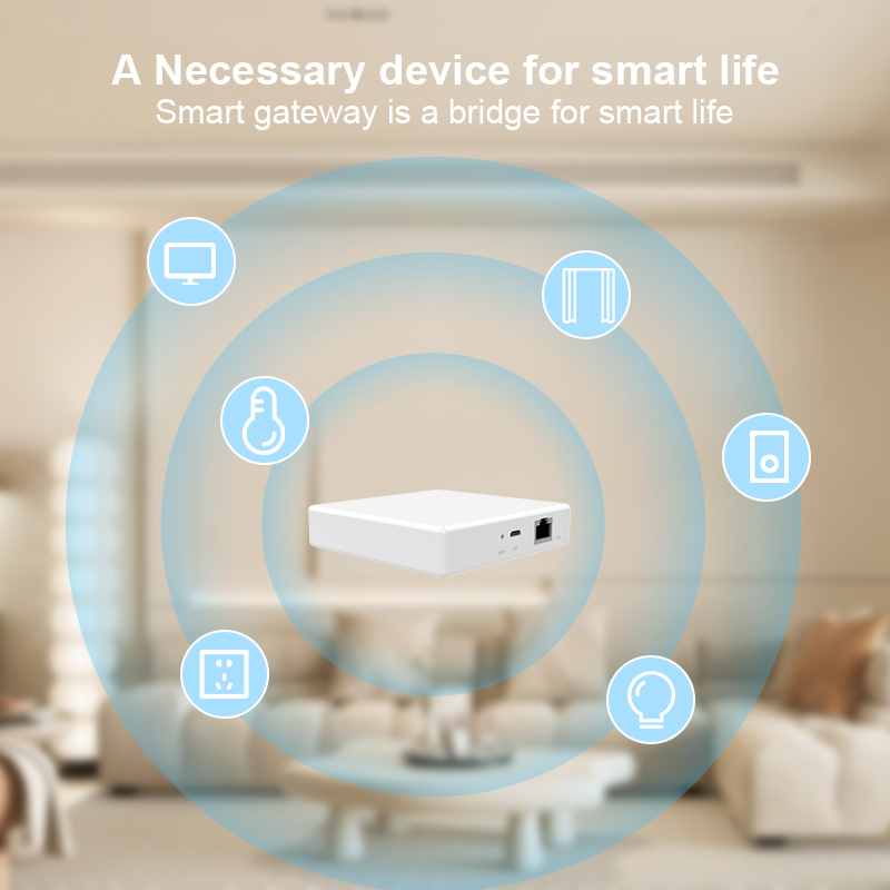 เกตเวย์ Matter Hub Homekit Tuy - Smart Home Gira บทวิจารณ์และราคา