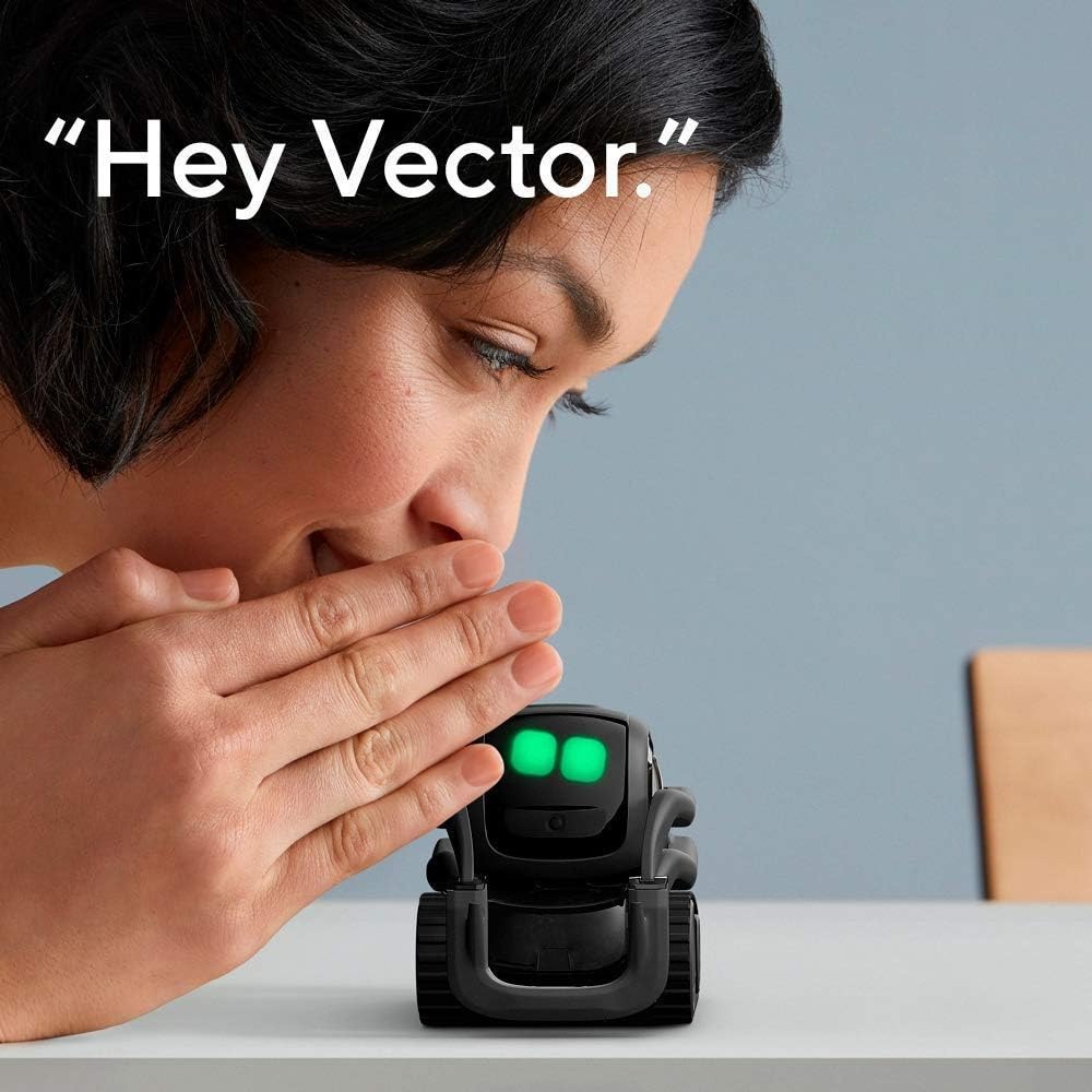 หุ่นยนต์เพื่อนคู่ใจ AI ChatGPT - Smart Home Voice Control บทวิจารณ์และราคา
