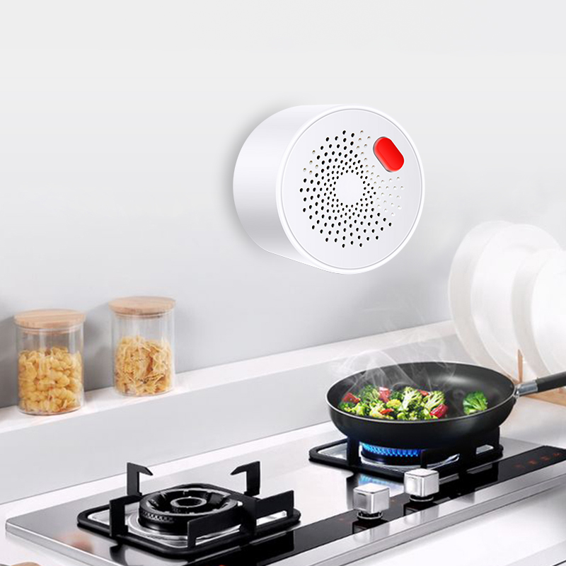 Tuya เซ็นเซอร์ก๊าซธรรมชาติ WiF - Smart Home Network บทวิจารณ์และราคา